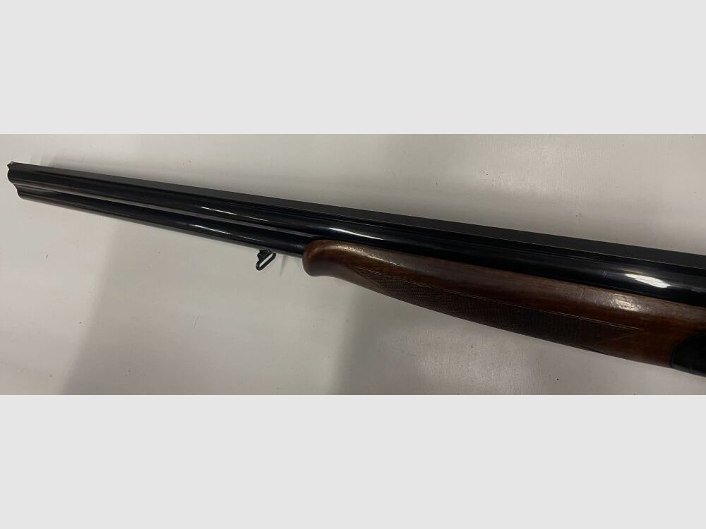 Zoli Ritmo G2