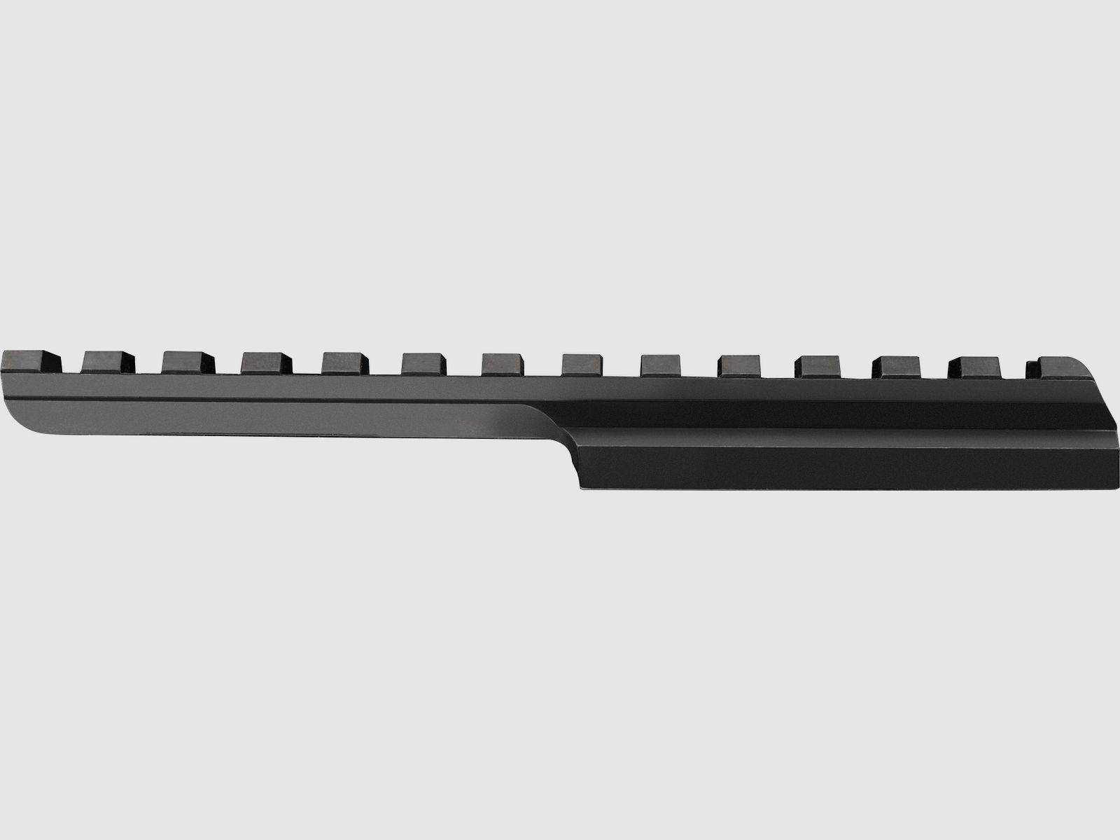 Mauser M25 Picatinny Schiene