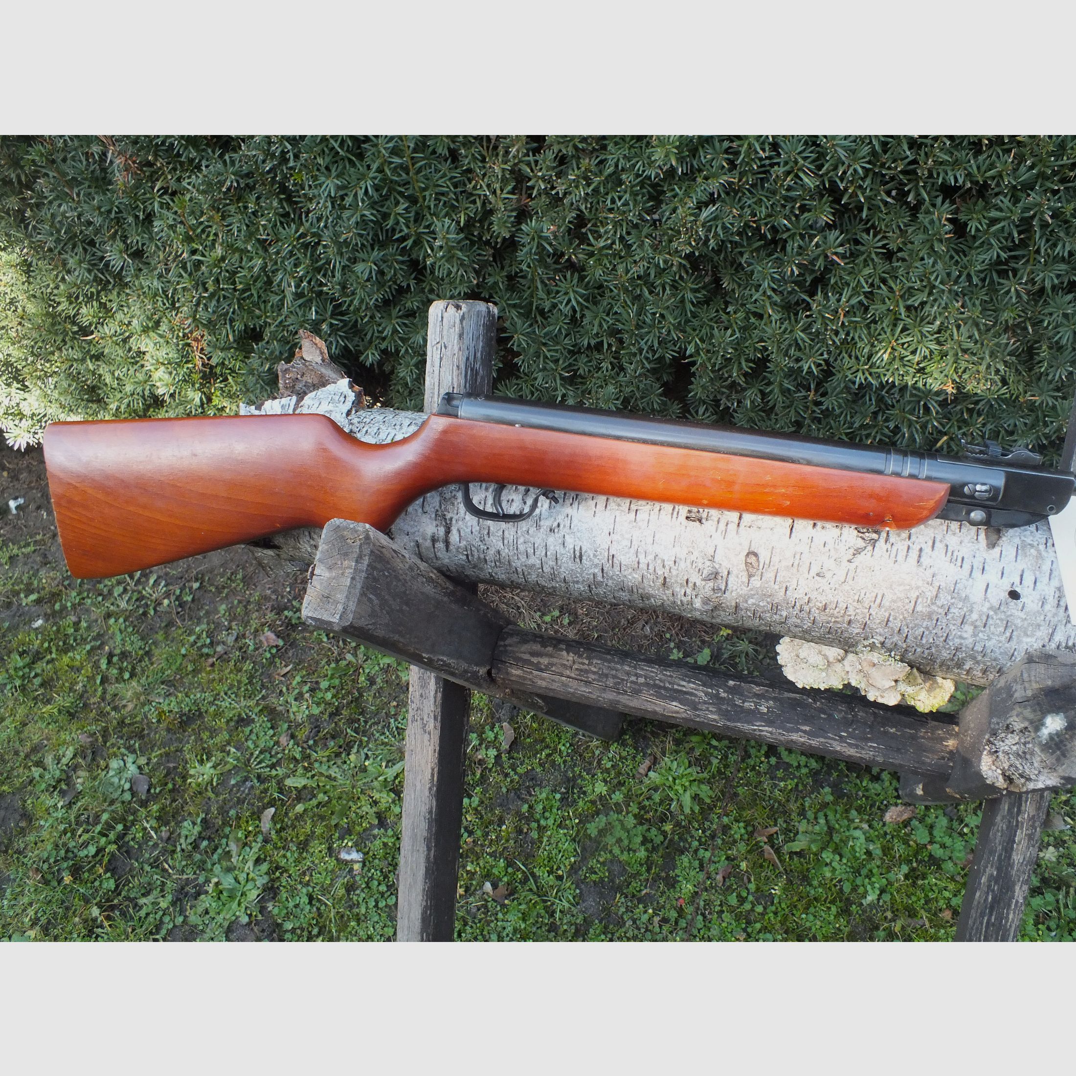 Luftdruckgewehr Haenel 303-5, Suhl DDR. Versandkostenfrei am 05.04 in D!