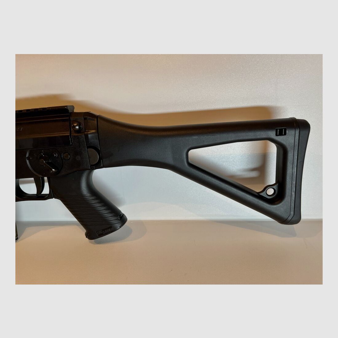 SIG Sauer Target .22lr