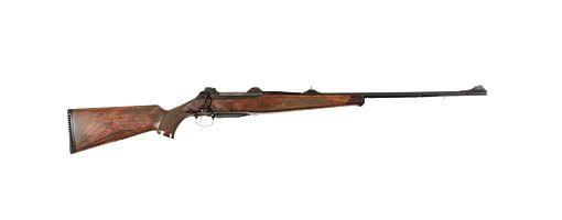 Sauer 200