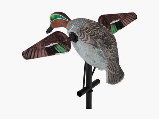 Alzavola mit rotierenden Flügeln Lucky Duck Teal mit Propeller