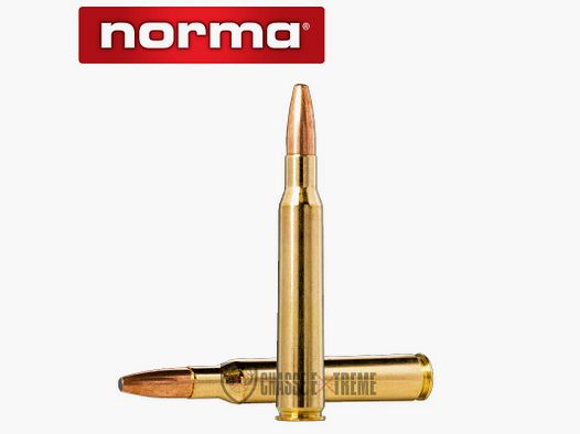 20 nabojów NORMA kal. 7x64 170gr Oryx