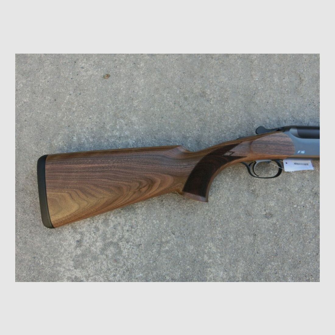 Blaser F16 Juego