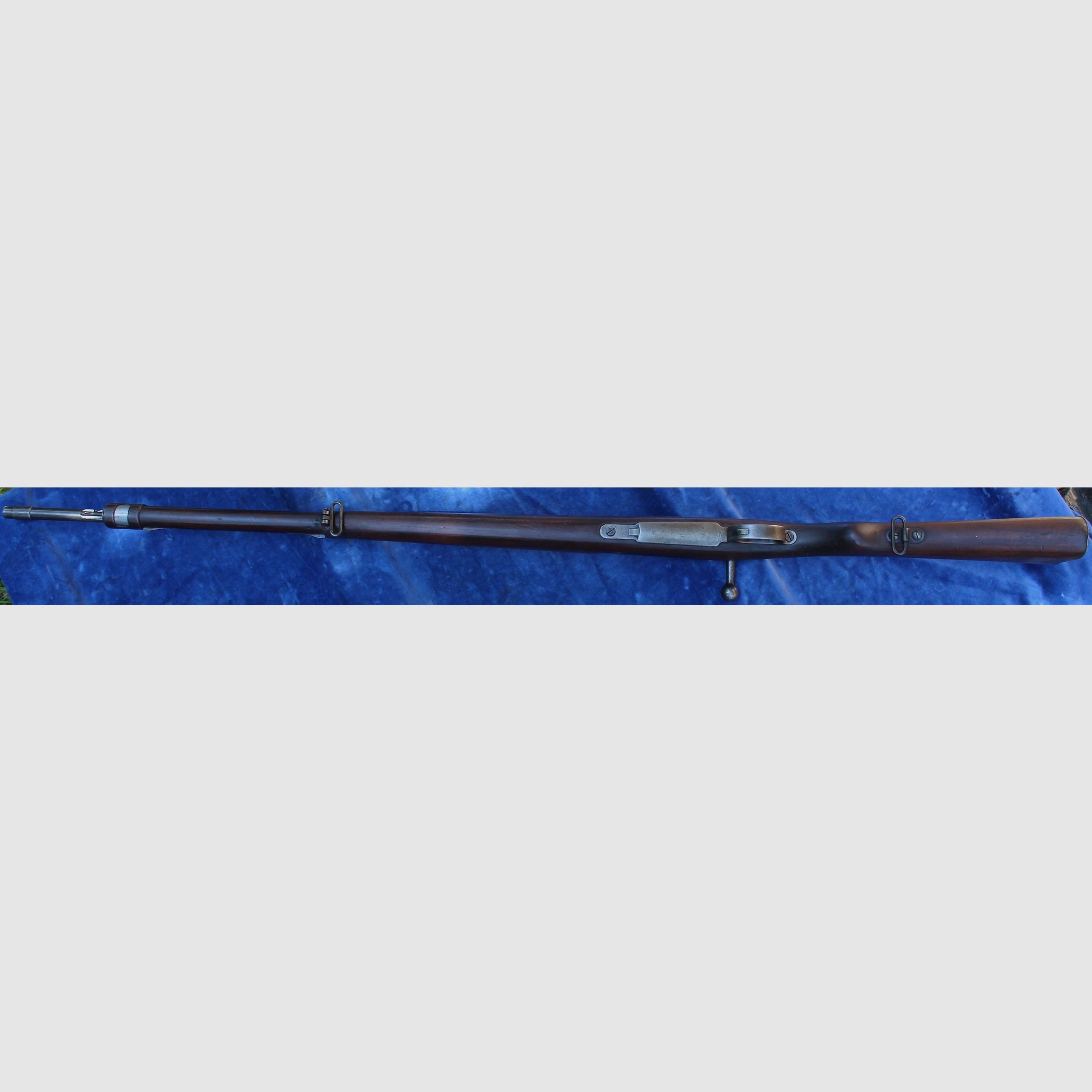 Mauser Argentino 1909 (non funzionante), immagine 12 di 18