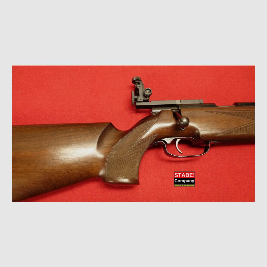 Anschütz 54 Match