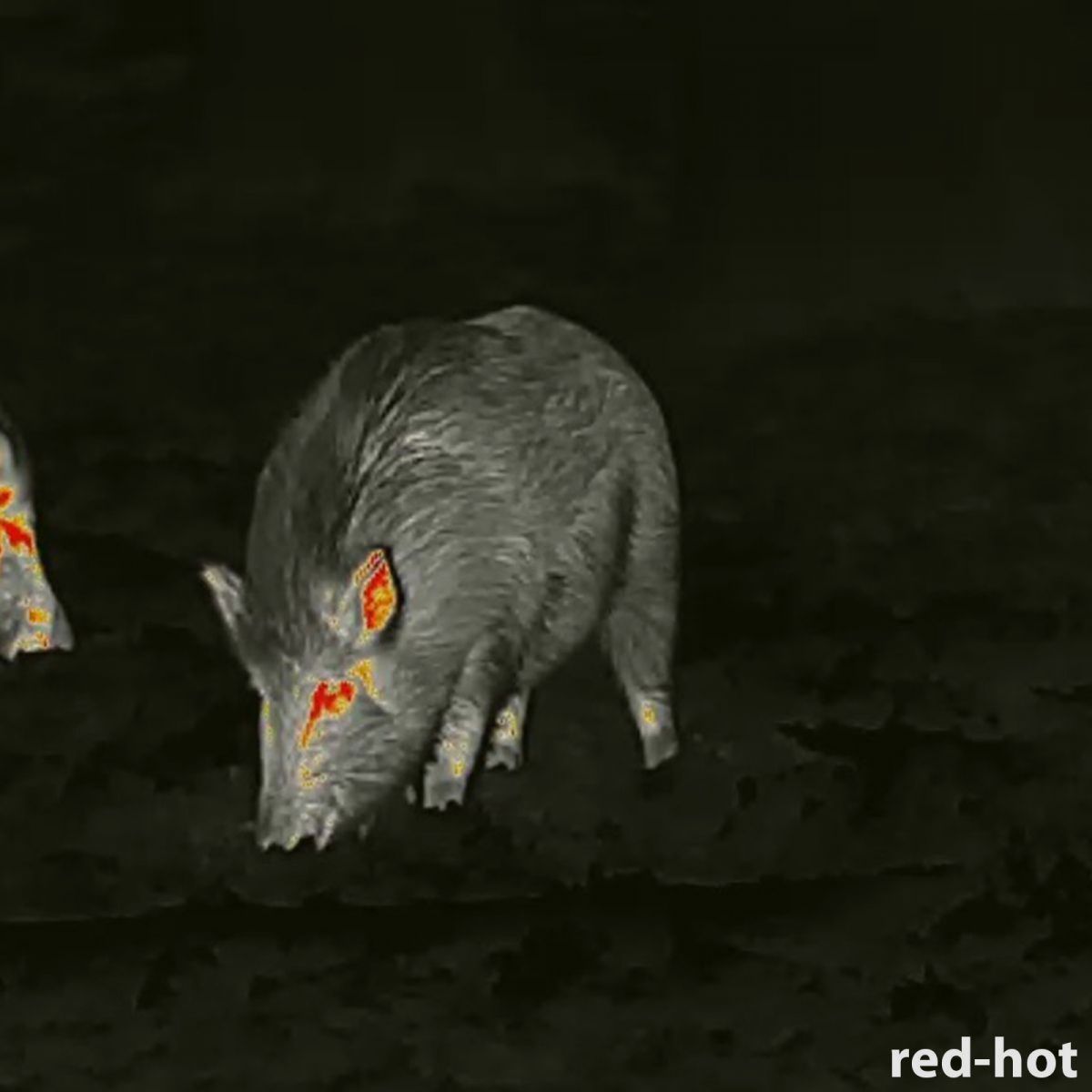 Lahoux Clip Elite 50 urządzenie termowizyjne