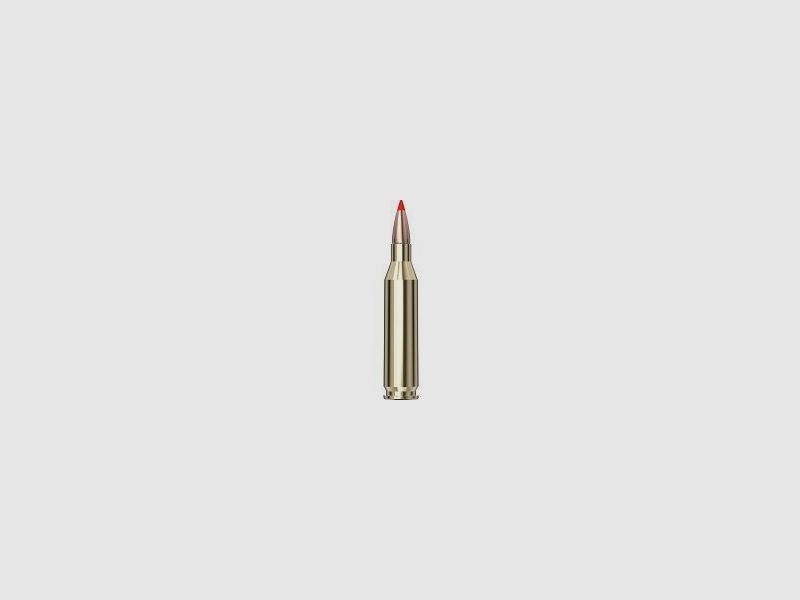 HORNADY BOX MIT 20 PATRONEN HORNADY 243 WIN 95 GR SST AWT, Bild 2 von 2