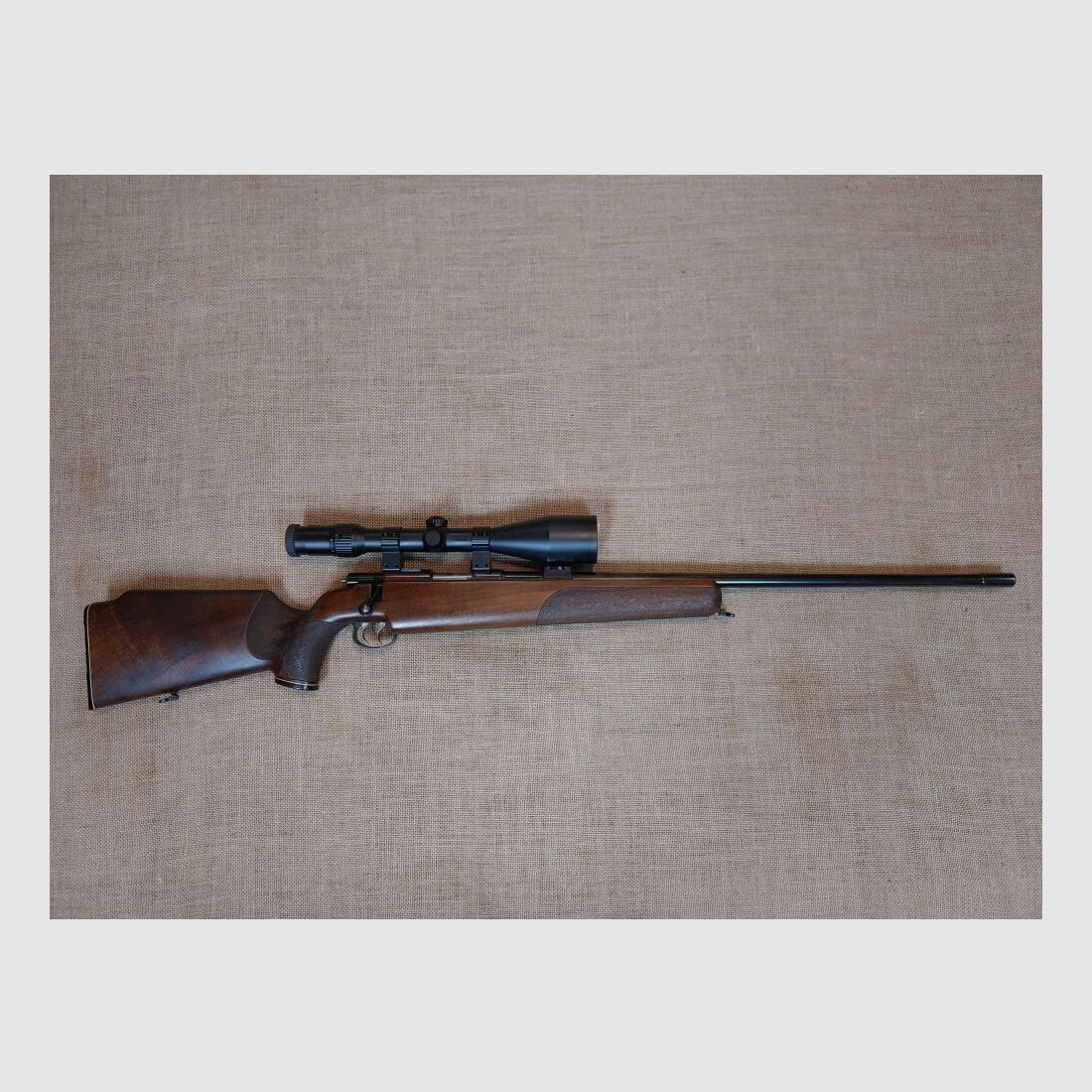 Anschütz, Ulm DJV Match de Chasse