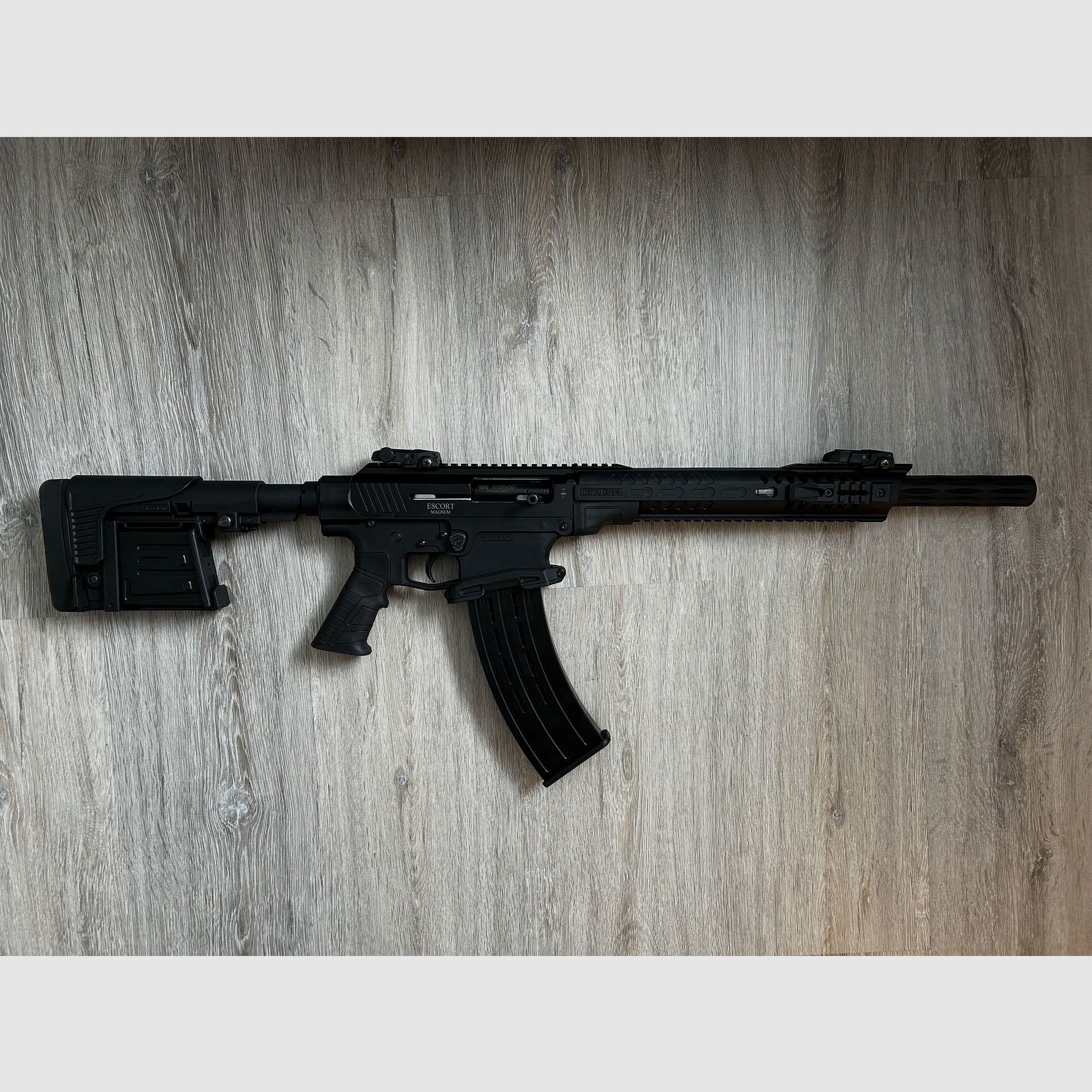 Hatsan Escort SDX12 TS en HOLOSUN HS510C