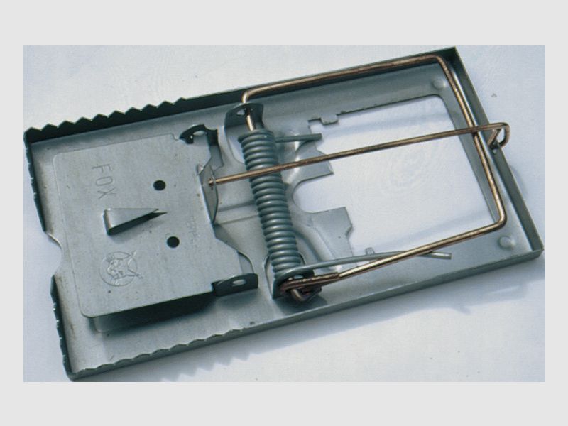 Rat trap "Killer