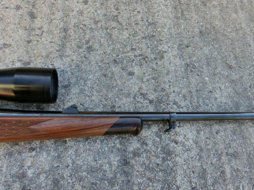 Zastava