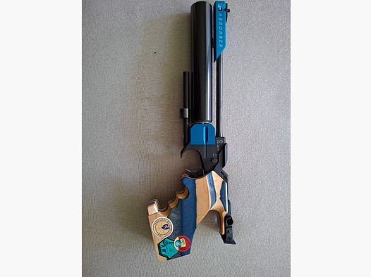 Walther LP 300