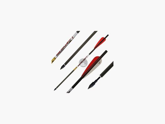 Jagdbolzen | GOLDTIP Swift - Bodkin - Carbon - 16 Zoll | Spitze: 125gr