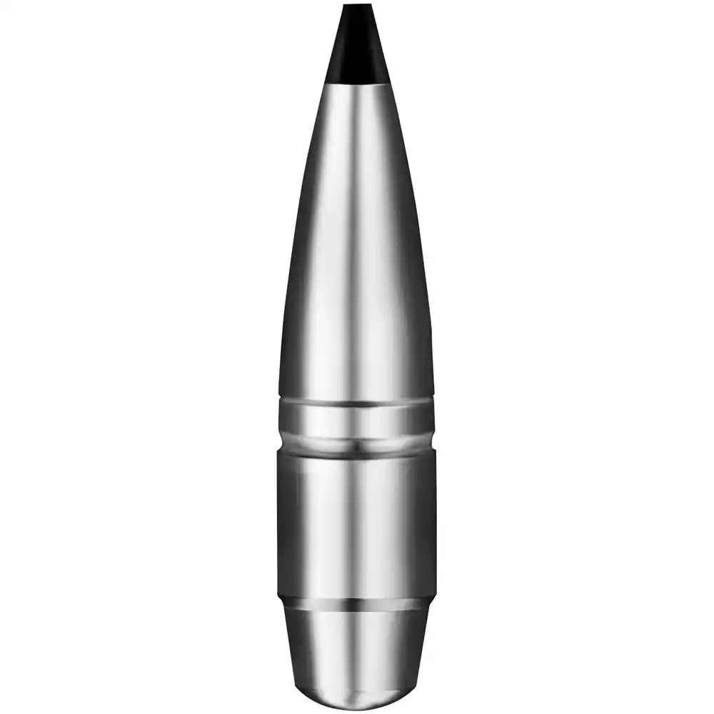 RWS .308 Win. Speed Tip Professional Short Rifle 10,7g 165gr, image 4 sur 6