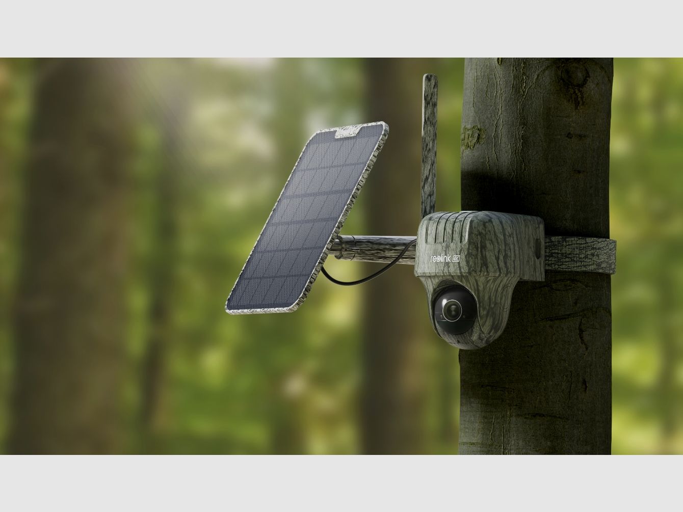 Reolink Go Ranger PT mit Solarpanel 4K 4G LTE Wildlife Camera mit 360 Grad Sicht