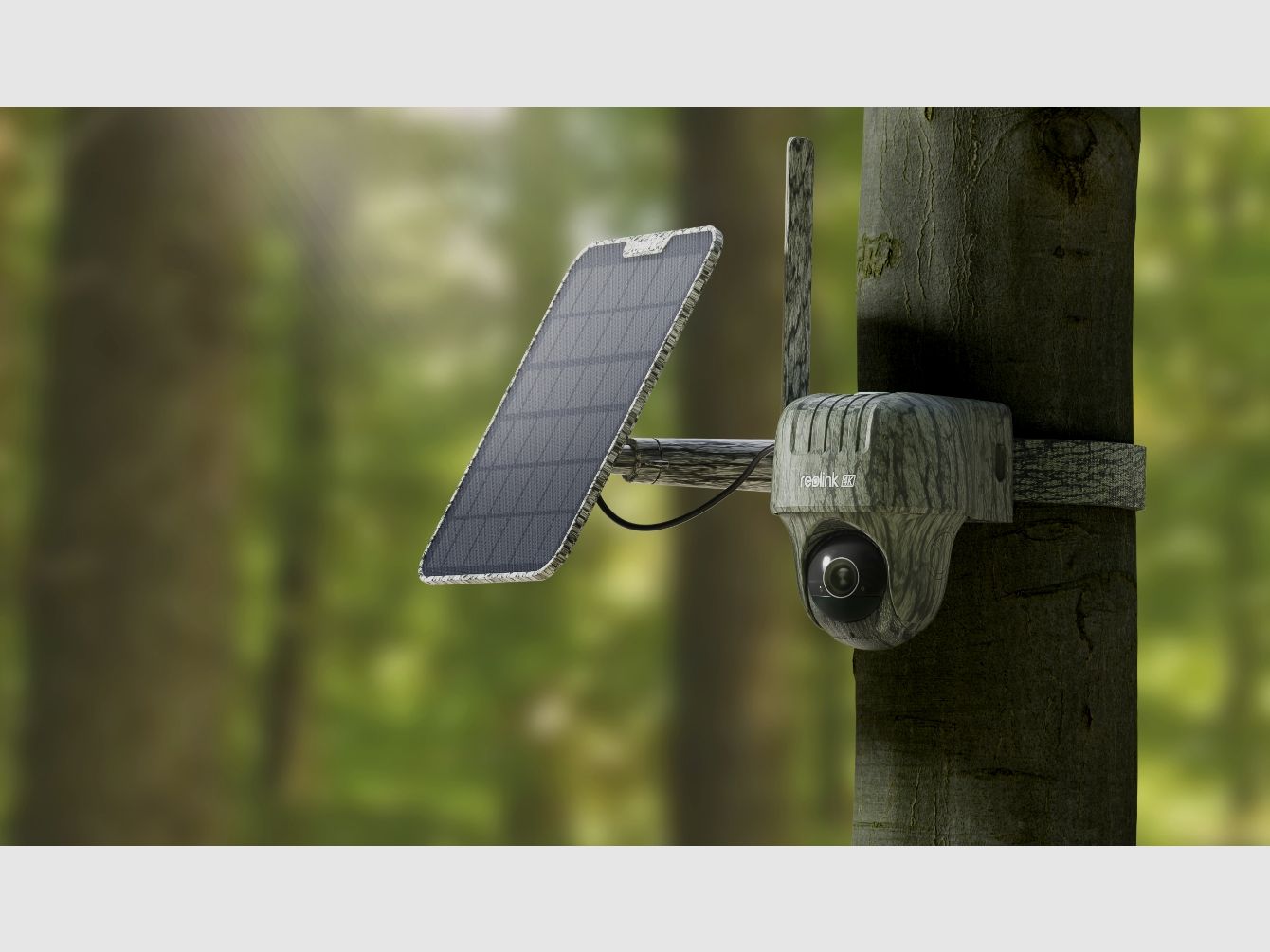 Reolink Go Ranger PT mit Solarpanel 4K 4G LTE Wildlife Camera mit 360 Grad Sicht