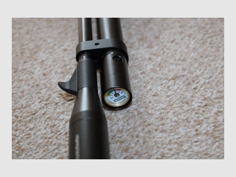 Diana Stormrider PCP