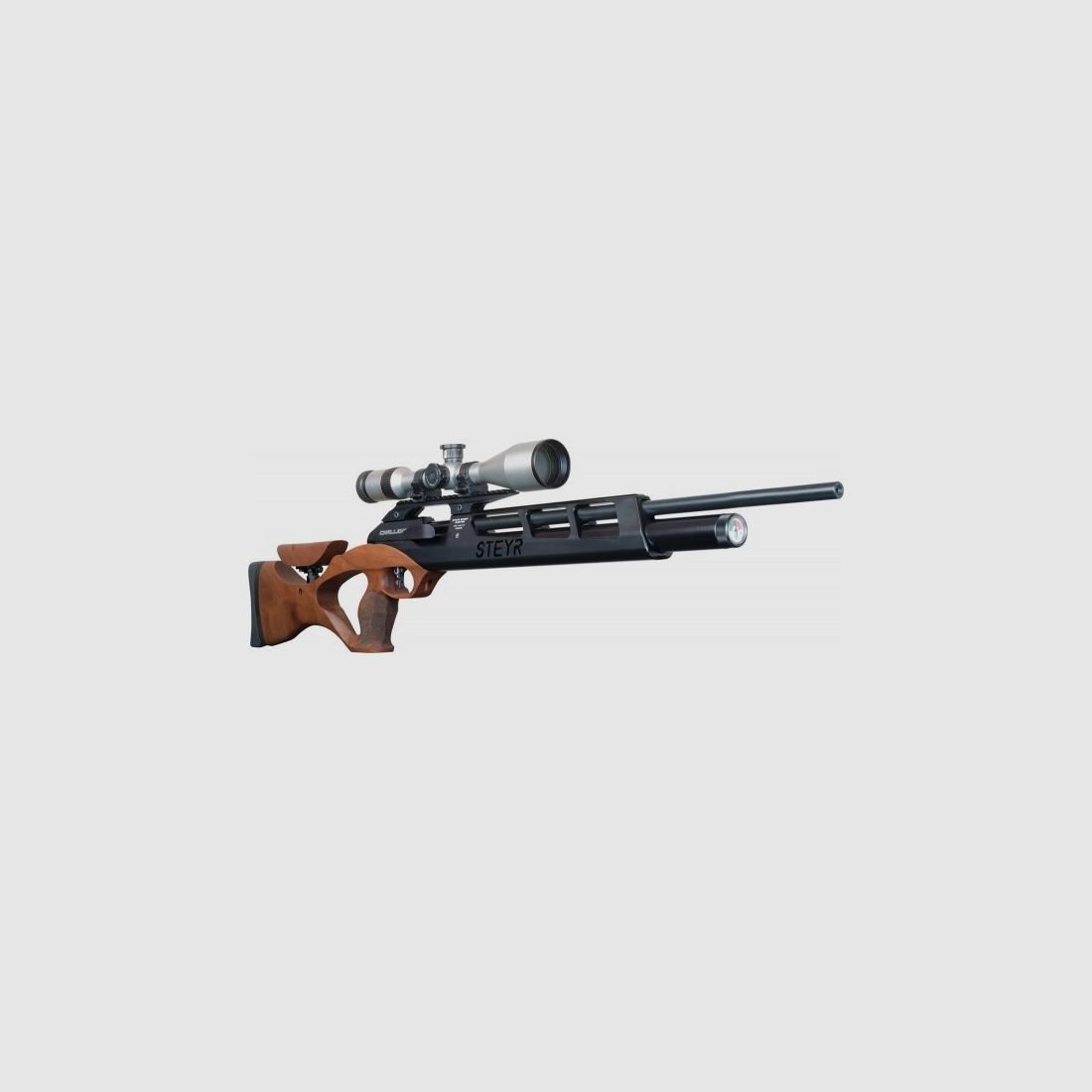 Steyr Challenge Hunting 4.5mm