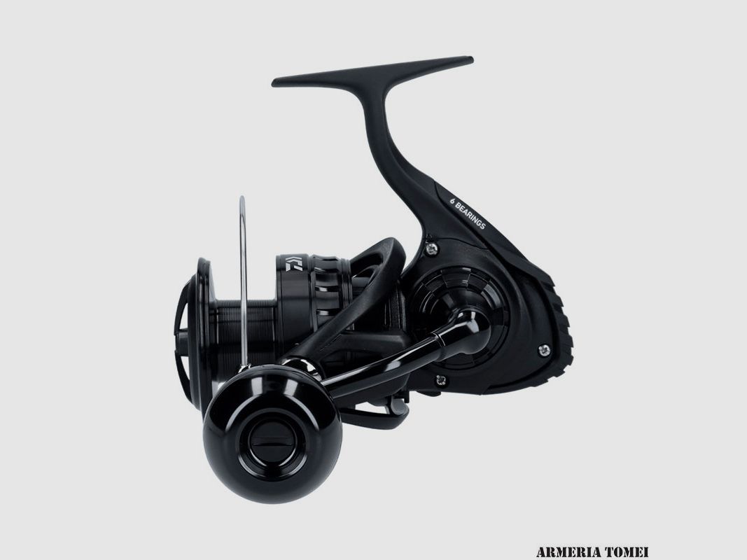 MULINELLO – DAIWA – BG BLACK LT 6000D-ARK, Bild 1 von 6
