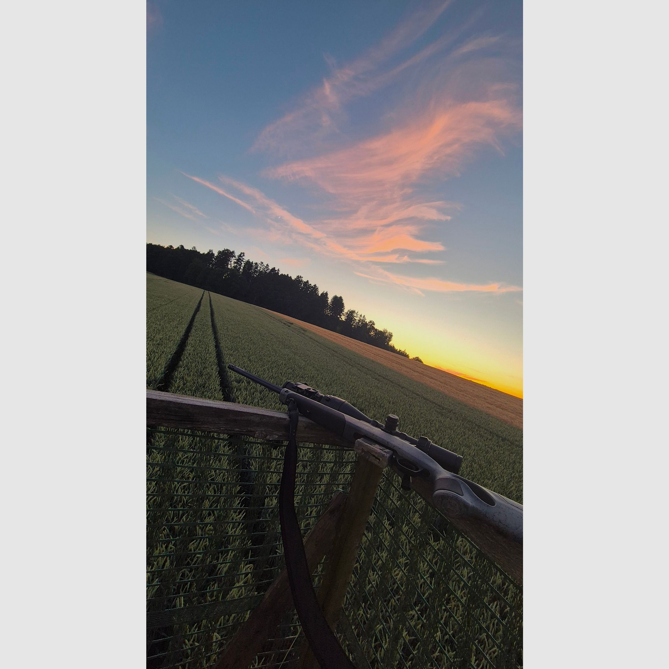 Bergara B14 Wilderness .308 Win | Meopta Optika6 3–18×56 RD | Liemke Luchs 25.1 | Complete set