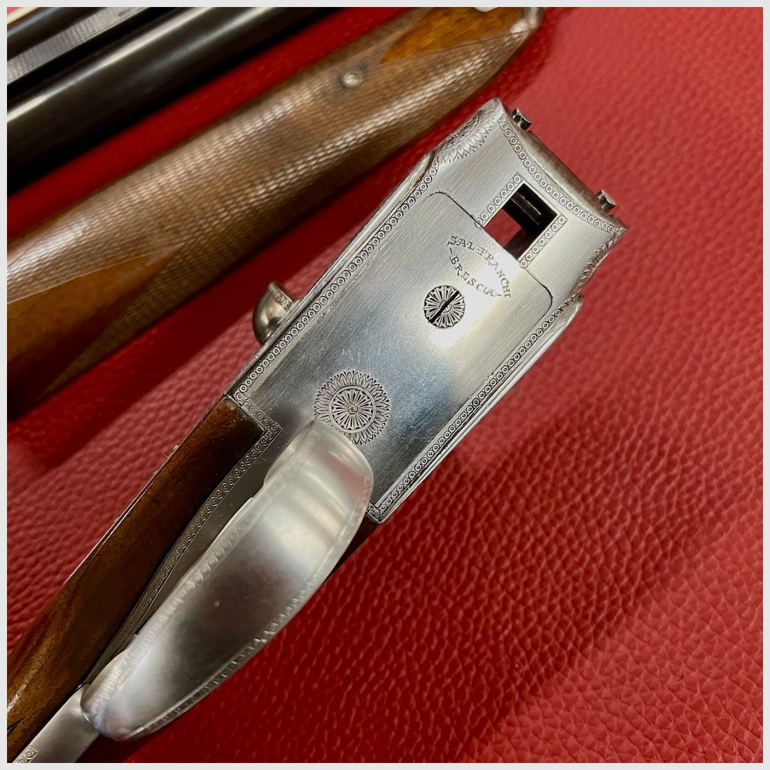 Franchi Albatros, afbeelding 4 van 13