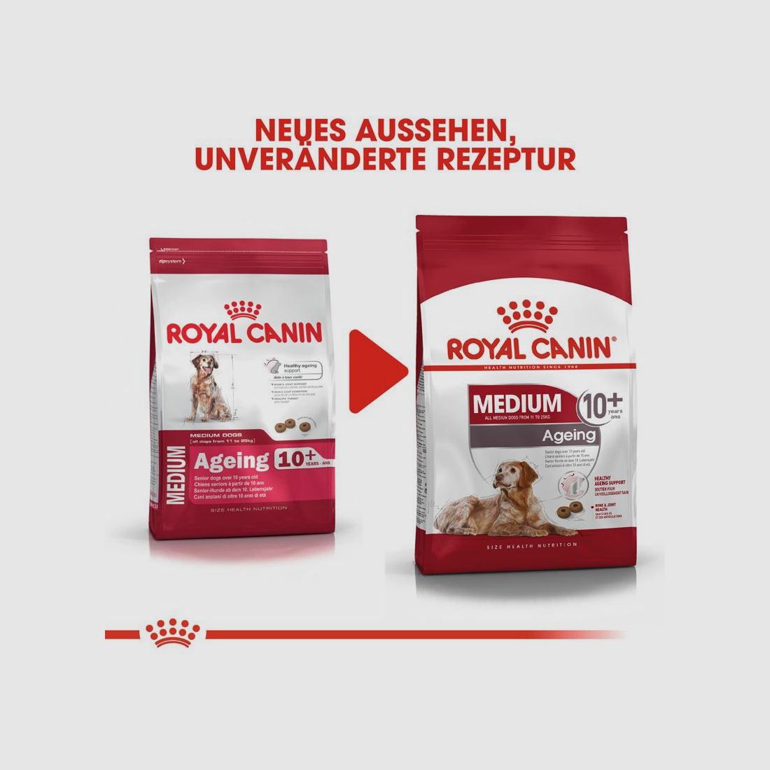 ROYAL CANIN Ältere Mittelgroße Hunde Trockenfutter Medium Ageing 10+ 15 Kg