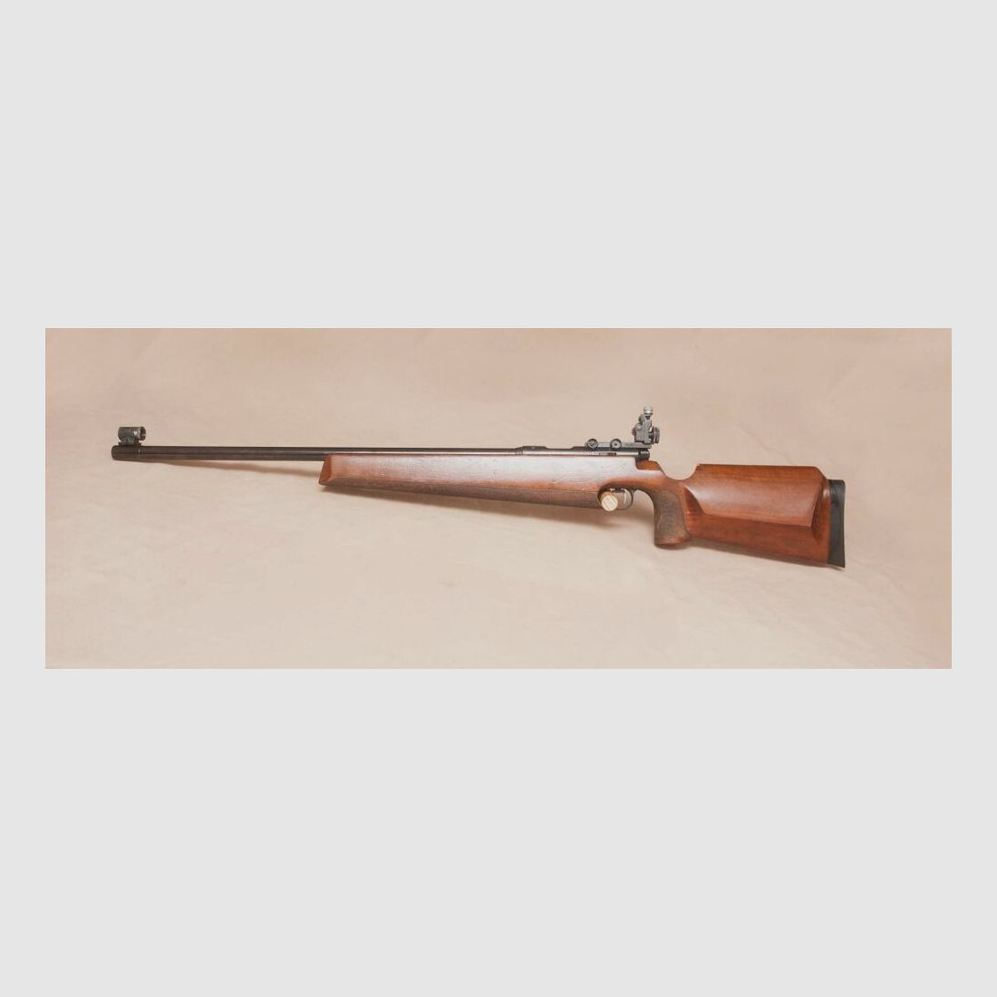 Anschütz 54 Match