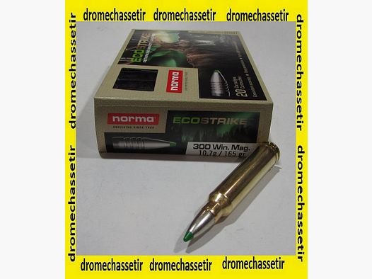 boite 20 cartouches calibre 300 winchester magnum Norma ecostrike 165 grains