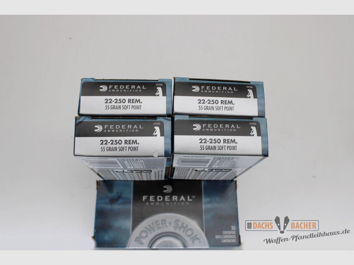 Federal .22-250 Rem 55gr.Soft Point 100 (5x20) Schuß