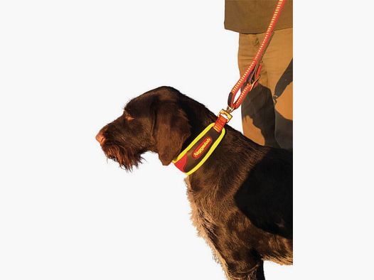 Niggeloh Sweat Collar Trail