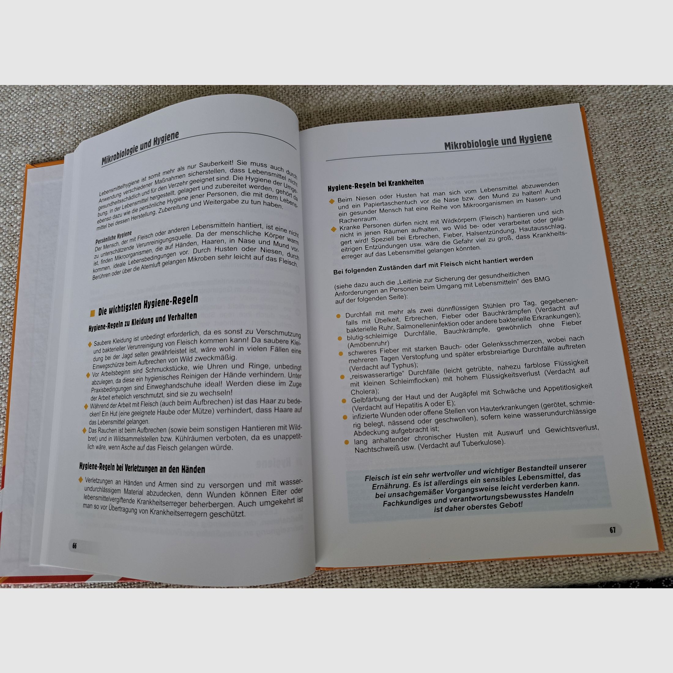 Game Hygiene (by Winkelmayer/ Paulsen/ Lebersorger/ Zedka) NEW!