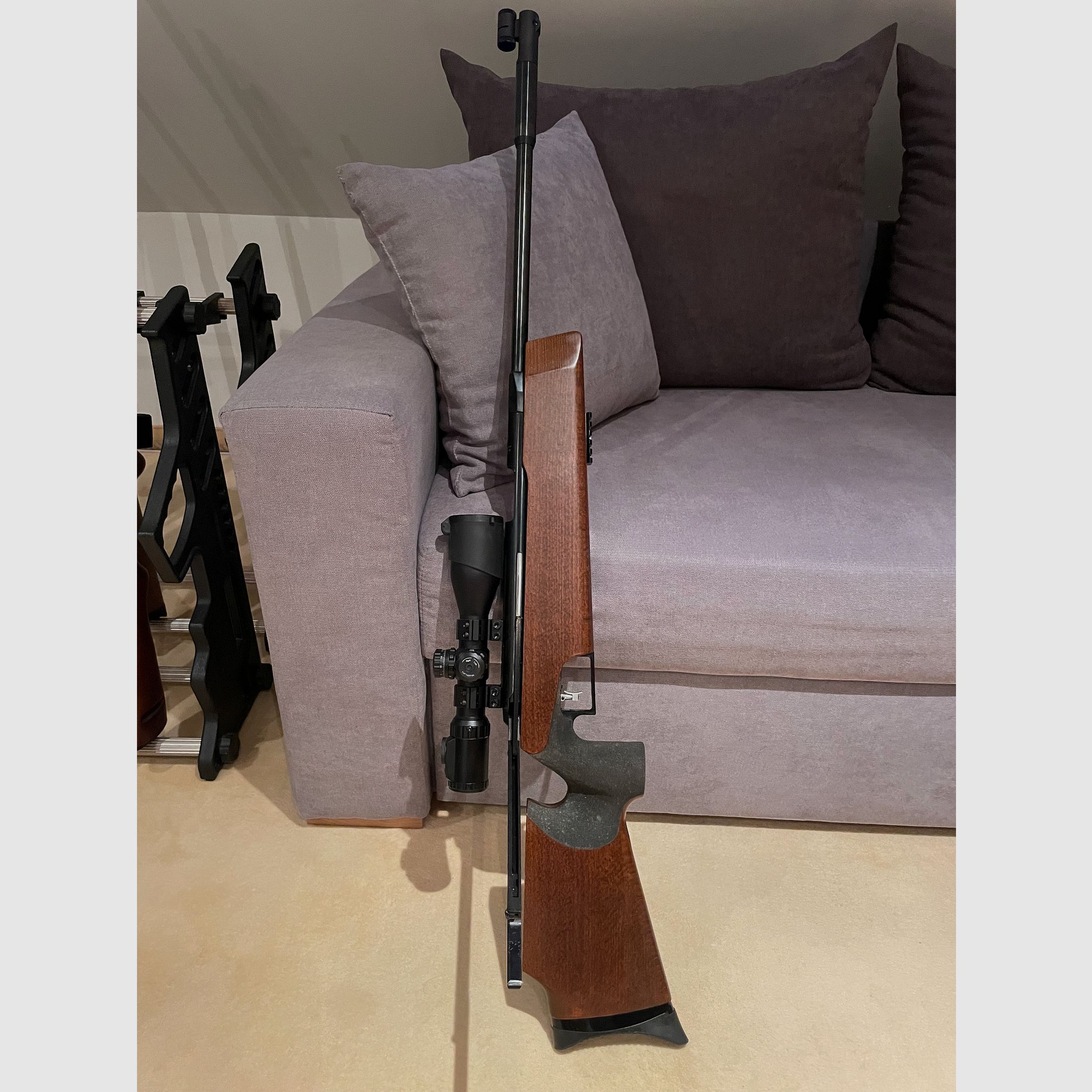 Fachwerkbau 300 S  4,5 mm Diabolo 