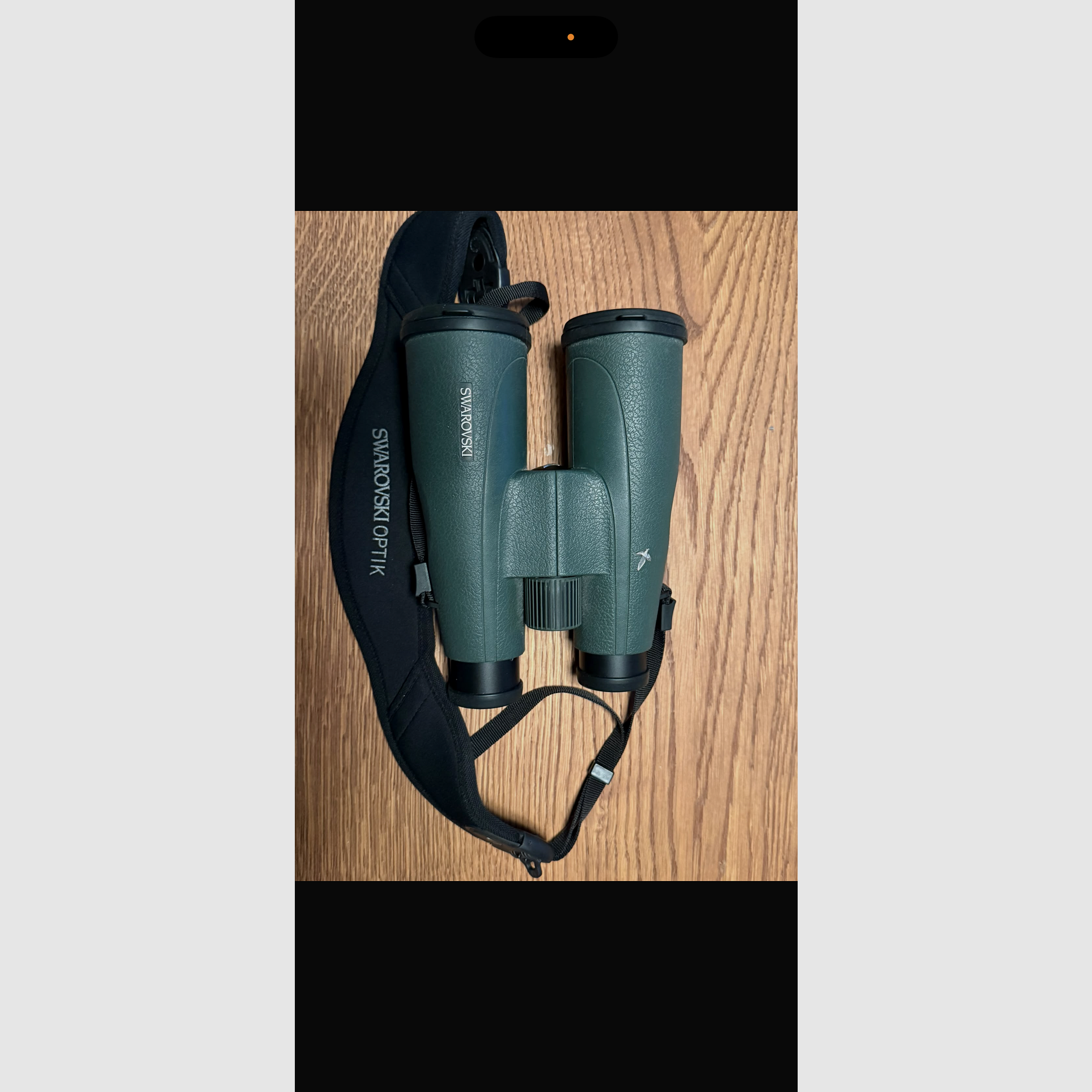 Binocolo Swarovski SLC 8x56