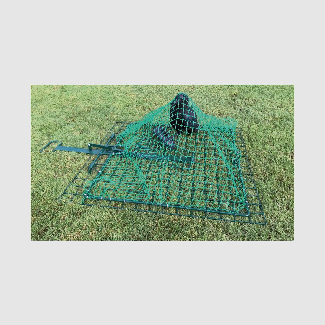 Universal network trap