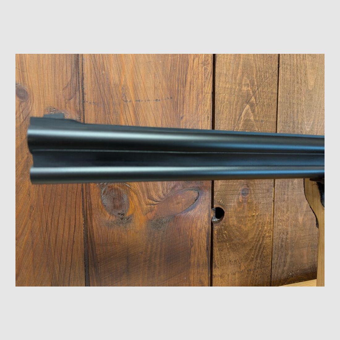 Blaser 95