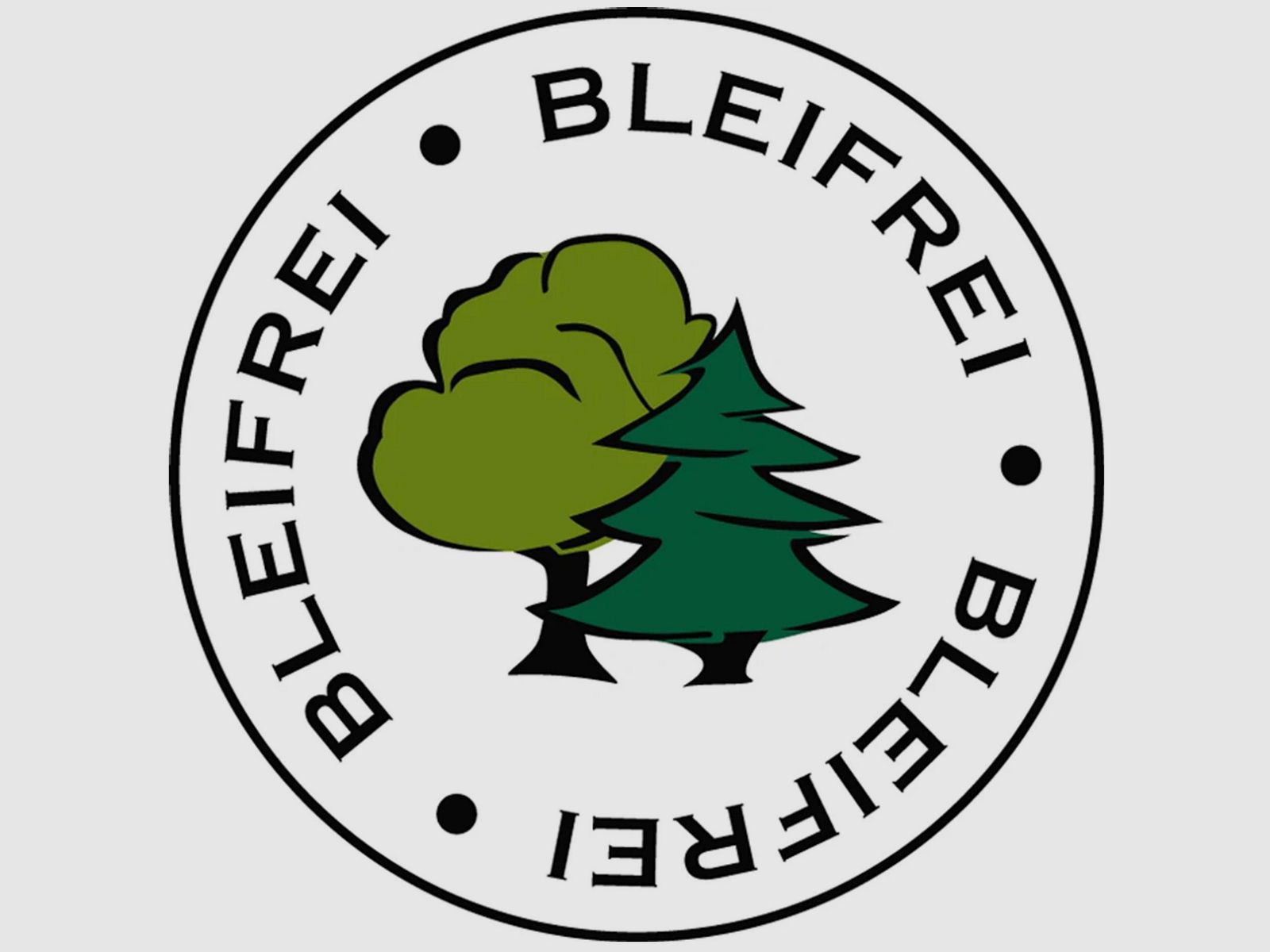 RWS 2318843 Büchsenpatronen .30-06 Spr. HIT 10,7g 165grs. Bleifrei