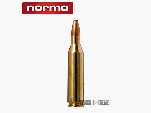 20 patronen NORMA .243 Win 100gr Oryx