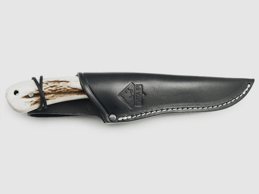 PUMA IP elch, stag
