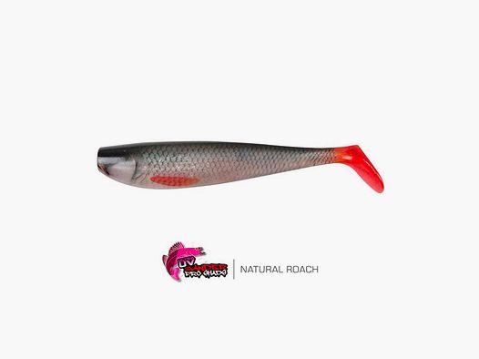 FOX RAGE – NATURALS ZANDER PRO BULK SHADS 16cm 6.3″ | Ultra Realistic Roach