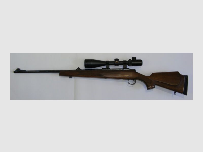 Lakelander Mod 389
