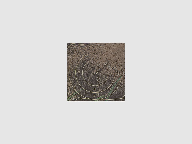DJV Schießscheiben-Jagd Spiegel #1 Reh 100m 31 x 21,5 cm