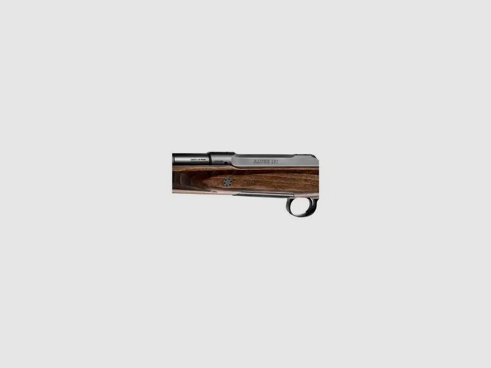 J. P. Sauer & Sohn Sauer S101 Silence GTI mit Integralschalldämpfer LL= 42cm - .308 Win., Bild 4 von 5