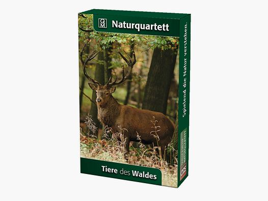 Naturquartett Tiere des Waldes