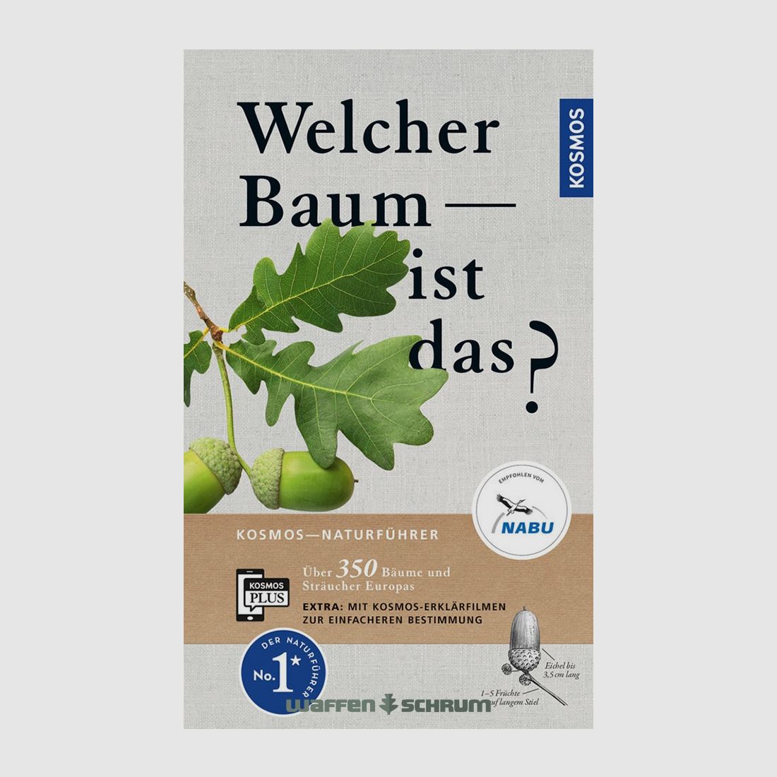 Cosmos Quel arbre est-ce ? Spohn