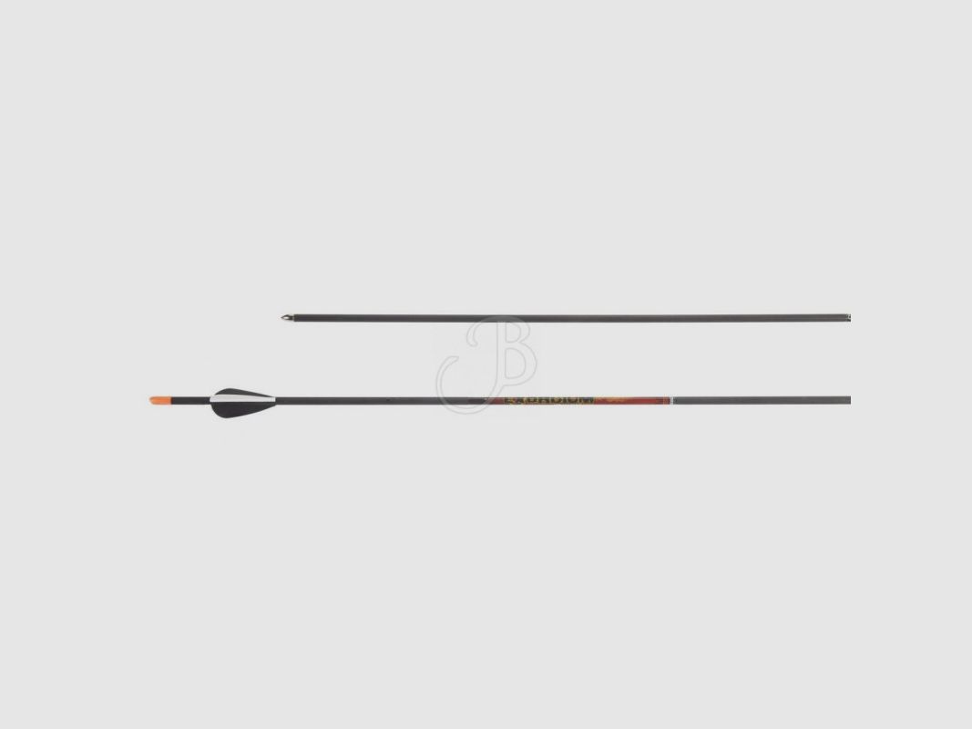 CROSS X FRECCIA EXORDIUM 700, Bild 1 von 2