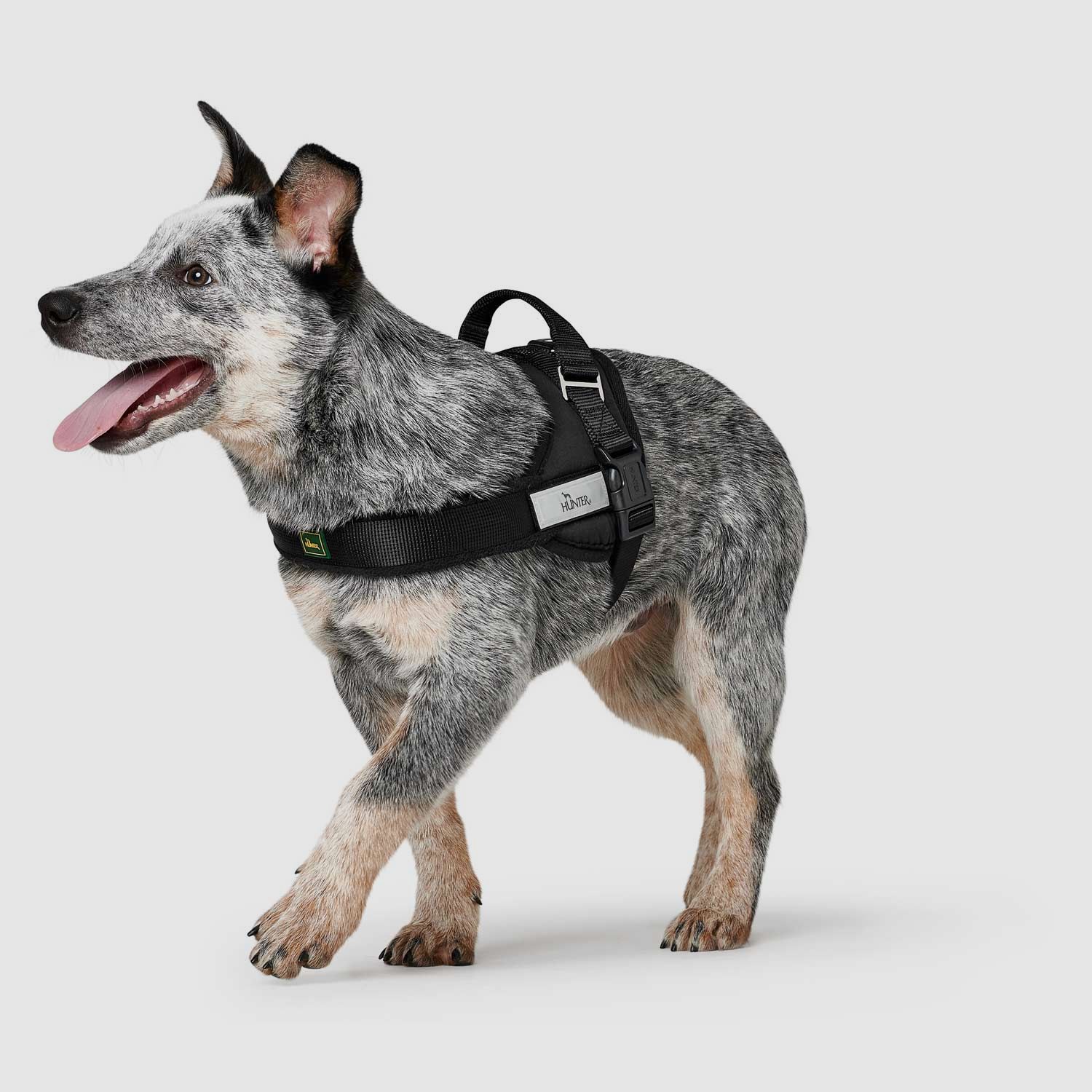 HUNTER Norwegergeschirr Ranger