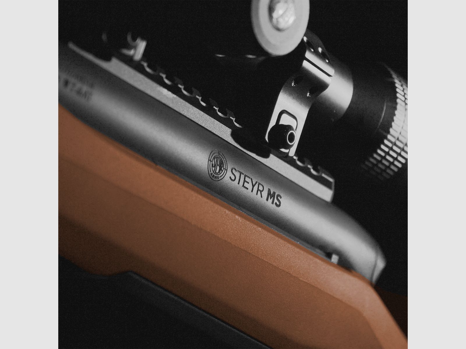 Steyr Arms MS WILD .308 Win., 3+1 Magazin, Direktabzug, 5/8"x24, Coyote Repetierbüchse