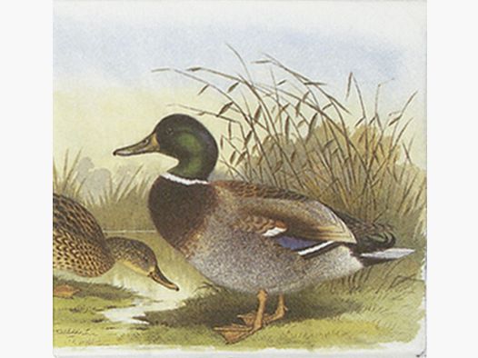 Serviettes Fritzmann avec canard