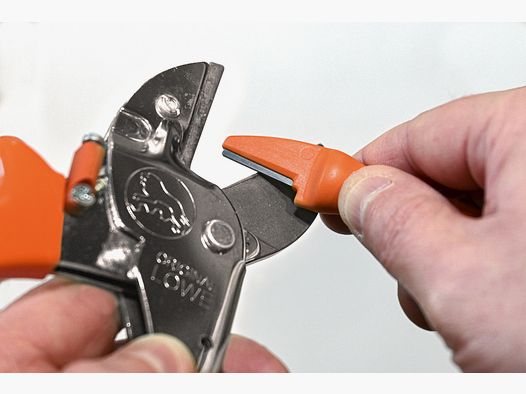 Lion blade sharpener